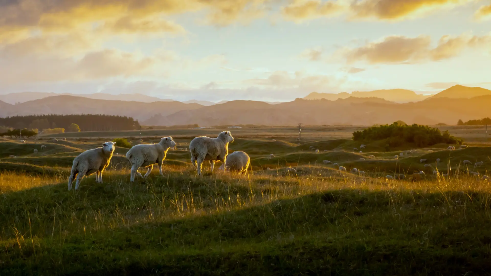 Nature & paysages