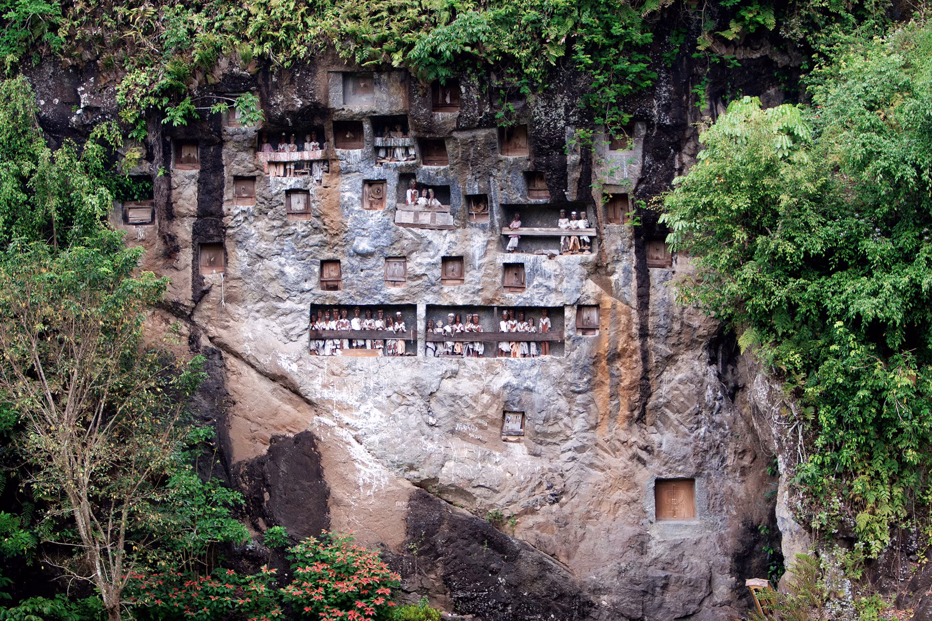 Toraja Funeral Rites & Majestic Volcanoes of Java