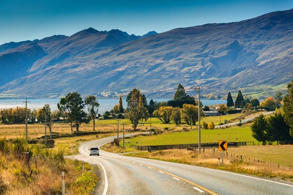 Complete Guide to Driving in Nouvelle-Zélande