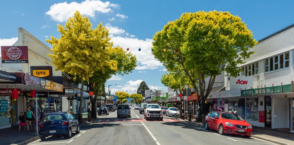 Motueka Town