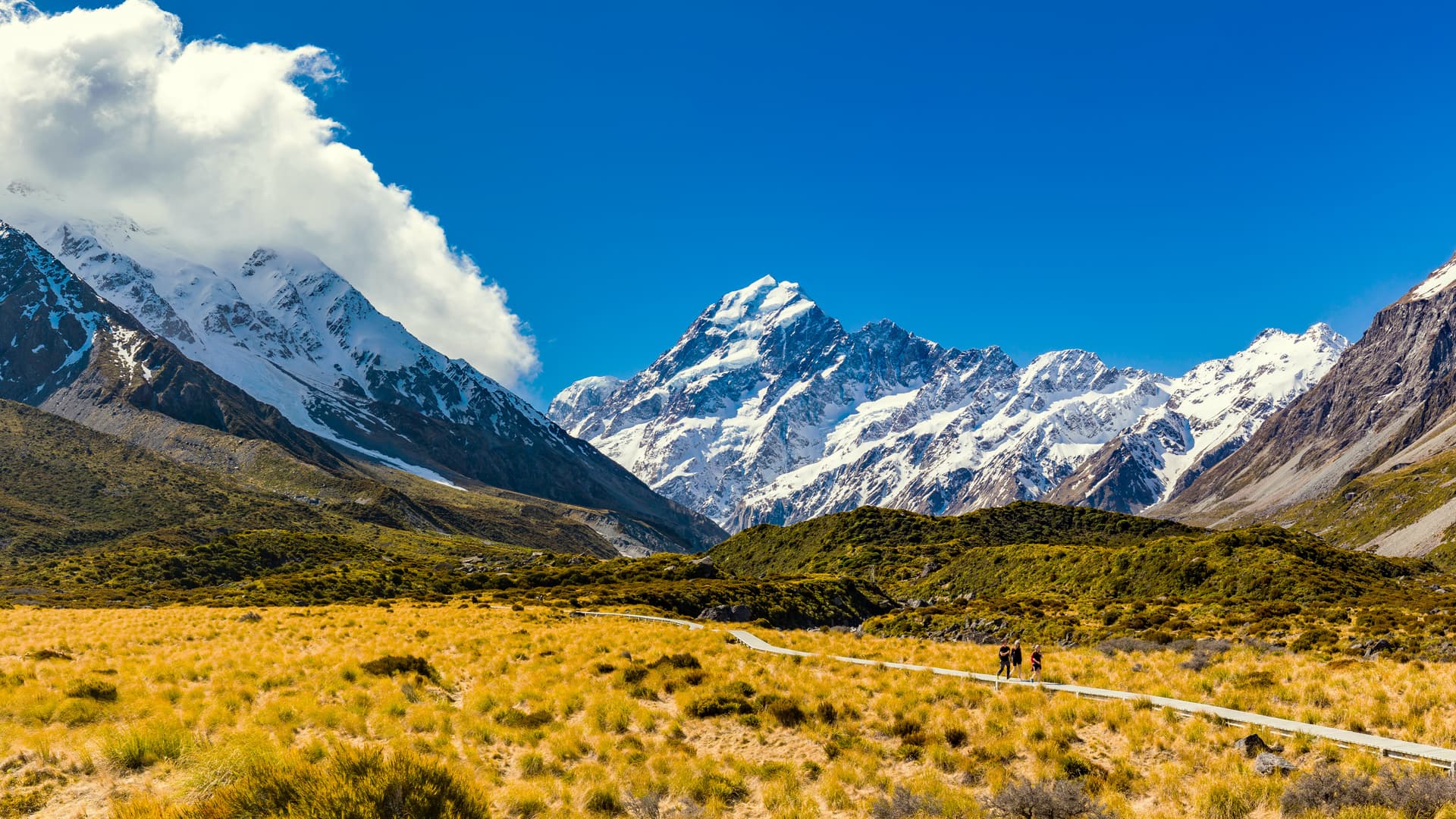 West Coast and Southern Alps
