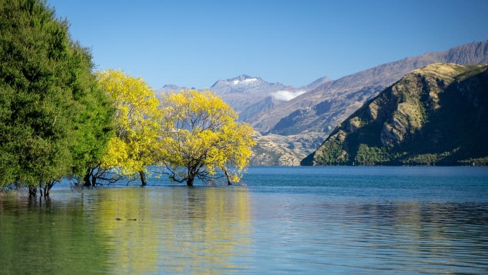 Mount Aspiring National Park